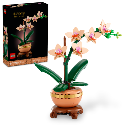 10343 Mini-orchidea - immagine 4